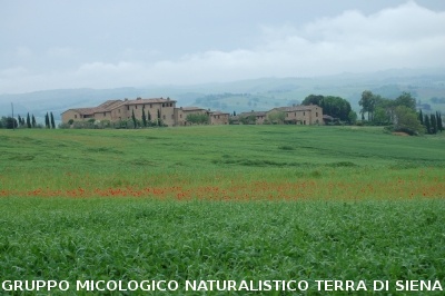 Escursione naturalistica alla Befa