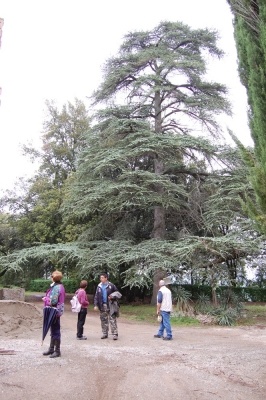 Escursione naturalistica alla Befa