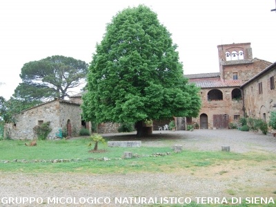 Escursione naturalistica alla Befa