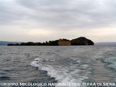 Escursione al Lago di Bolsena