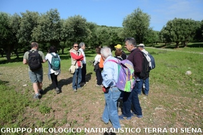 Passeggiata nel Parco dell'Uccellina