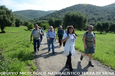Passeggiata nel Parco dell'Uccellina