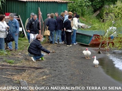 Escursione al Lago di Bolsena