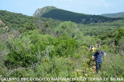 Passeggiata nel Parco dell'Uccellina