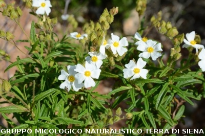Passeggiata nel Parco dell'Uccellina