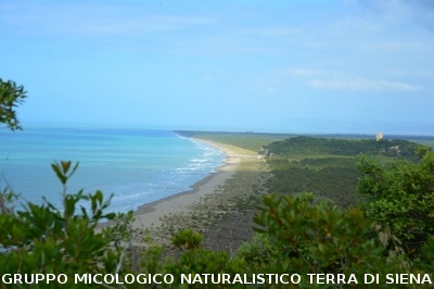 Passeggiata nel Parco dell'Uccellina