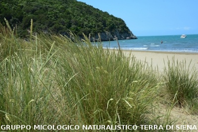Passeggiata nel Parco dell'Uccellina