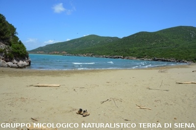 Passeggiata nel Parco dell'Uccellina