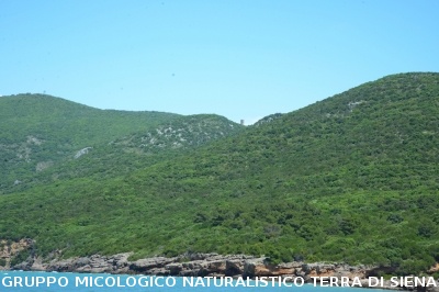 Passeggiata nel Parco dell'Uccellina