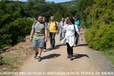 Passeggiata nel Parco dell'Uccellina