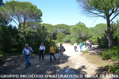 Passeggiata nel Parco dell'Uccellina