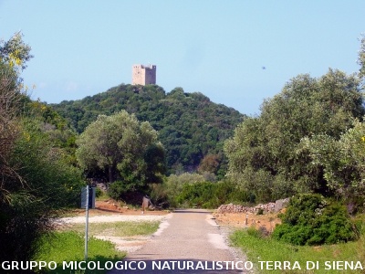 Passeggiata nel Parco dell'Uccellina