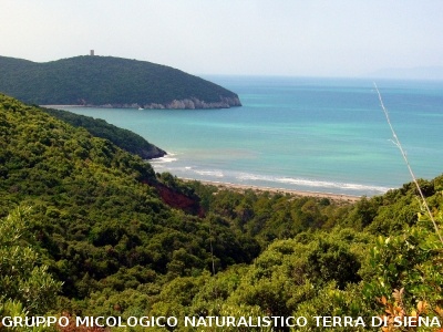 Passeggiata nel Parco dell'Uccellina