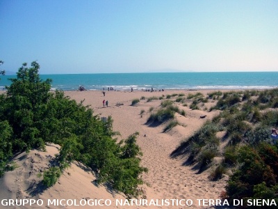 Passeggiata nel Parco dell'Uccellina