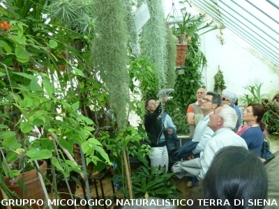 Fra le piante dell'Orto Botanico di Siena