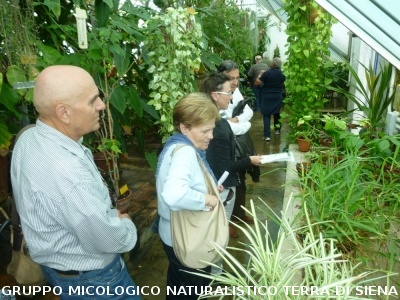 Fra le piante dell'Orto Botanico di Siena