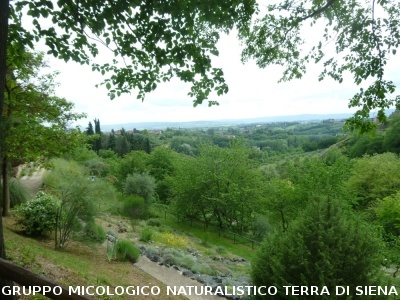 Fra le piante dell'Orto Botanico di Siena