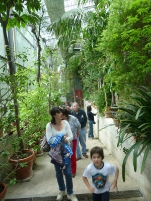 Fra le piante dell'Orto Botanico di Siena