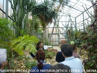 Fra le piante dell'Orto Botanico di Siena