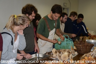 Determinazione funghi raccolti a Vallombrosa