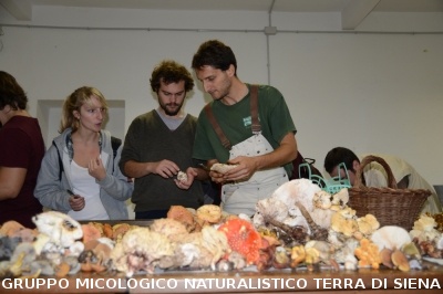 Determinazione funghi raccolti a Vallombrosa