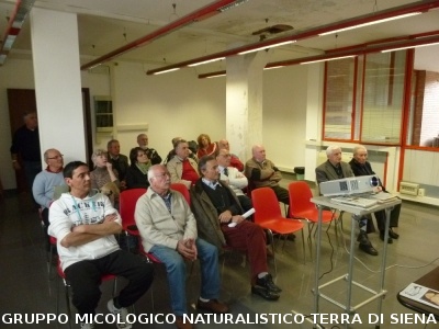Conferenza sulle Onde Elettromagnetiche