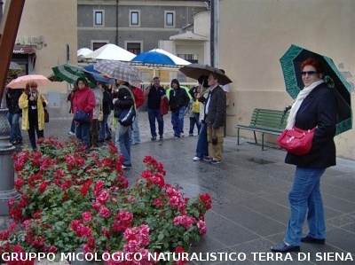 Escursione al Lago di Bolsena