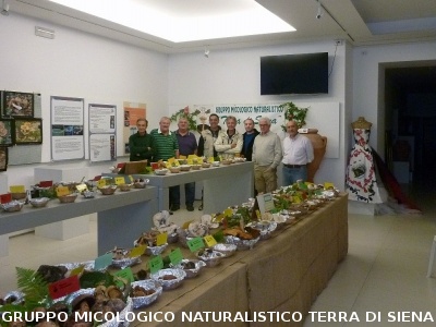 XVII Mostra Micologica Senese