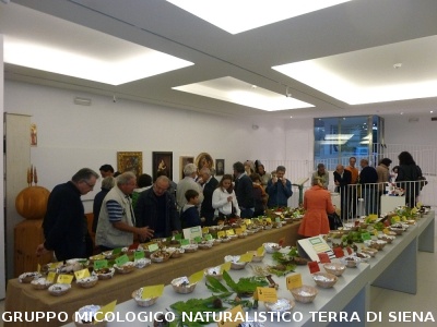 XVII Mostra Micologica Senese