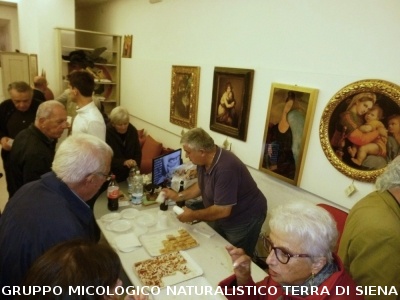 XVII Mostra Micologica Senese