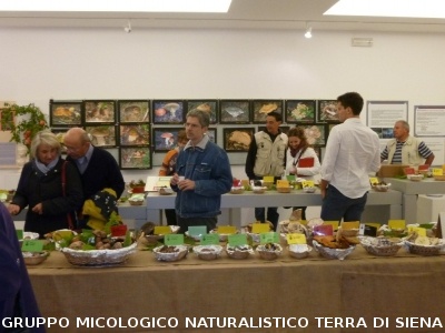 XVII Mostra Micologica Senese
