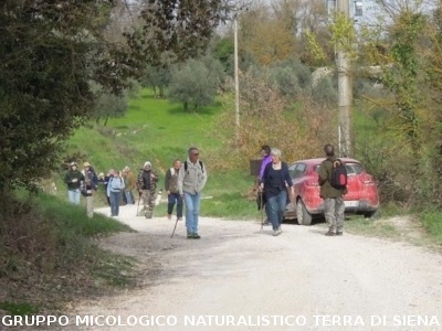 Escursione Colomba - Cerrecchia AR del 22.3