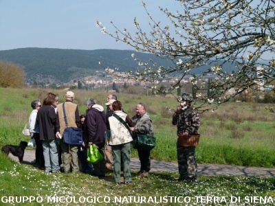 Raccolta delle erbe di campo del 29.3