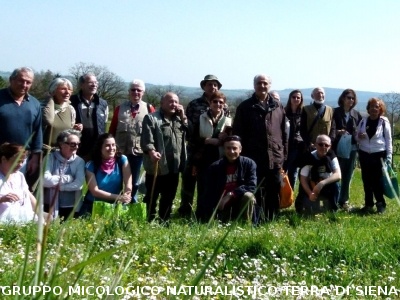 Raccolta delle erbe di campo del 29.3