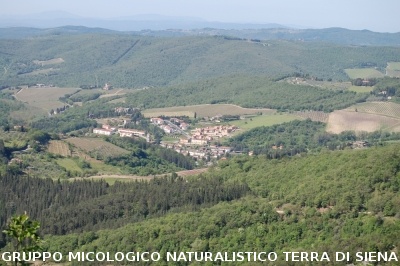 Escursione naturalistica a Badia di Coltibuono del 10.5