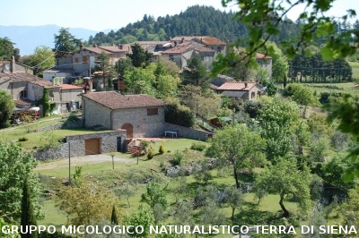 Escursione naturalistica a Badia di Coltibuono del 10.5