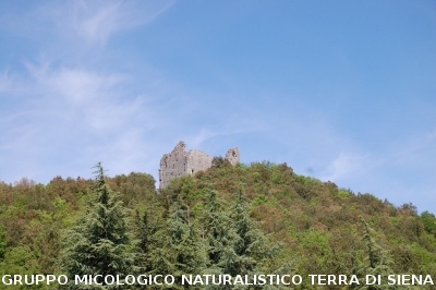 Escursione naturalistica a Badia di Coltibuono del 10.5