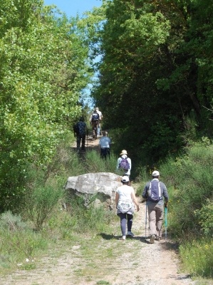 Escursione naturalistica a Badia di Coltibuono del 10.5