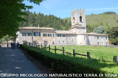 Escursione naturalistica a Badia di Coltibuono del 10.5