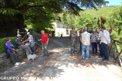 Escursione naturalistica a Badia di Coltibuono del 10.5