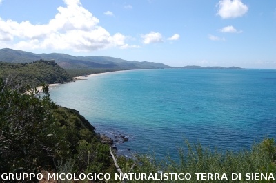 Escursione naturalistica a Cala Violina del 18.5