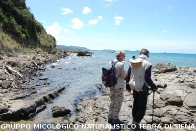 Escursione naturalistica a Cala Violina del 18.5