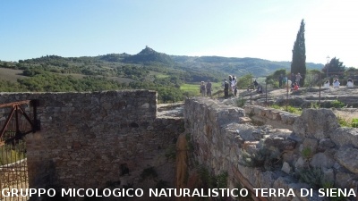 Escursione naturalistica a Castiglion d'Orcia del 28.9