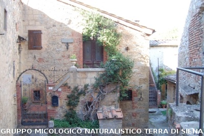 Escursione naturalistica a Castiglion d'Orcia del 28.9