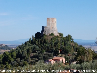 Escursione naturalistica a Castiglion d'Orcia del 28.9