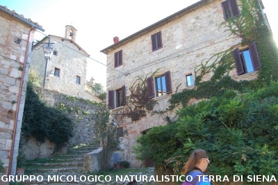 Escursione naturalistica a Castiglion d'Orcia del 28.9