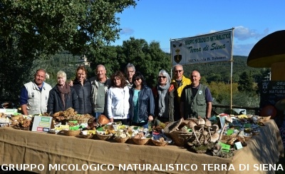 Mostra Micologica ad Ancaiano