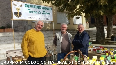 Mostra Micologica a Monticiano