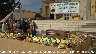 Mostra Micologica a Monticiano
