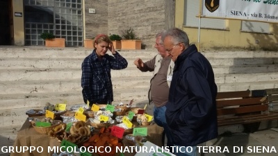 Mostra Micologica a Monticiano